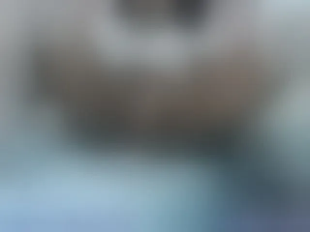 Live sex webcam photo for lylybrow #272985099