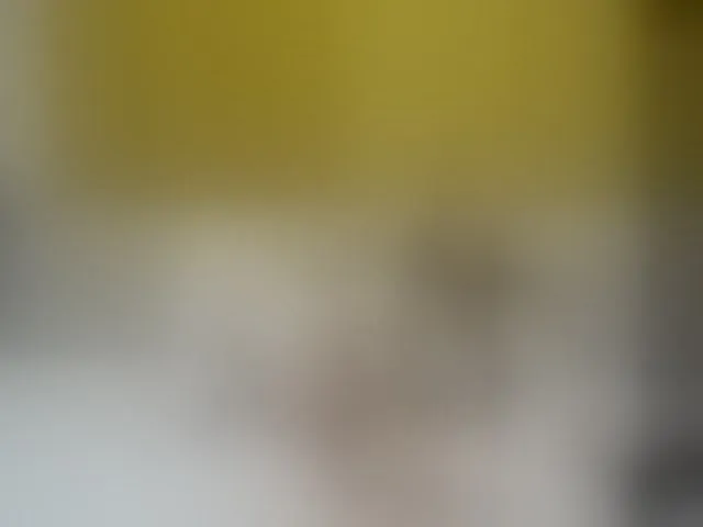 Live sex webcam photo for maddykit #275905989