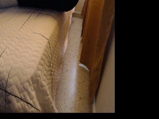 Live sex webcam photo for Madison01 #200101890