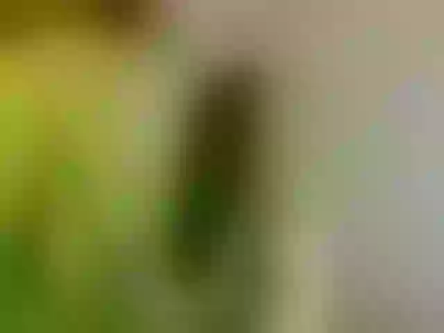Live sex webcam photo for mainee #292170907