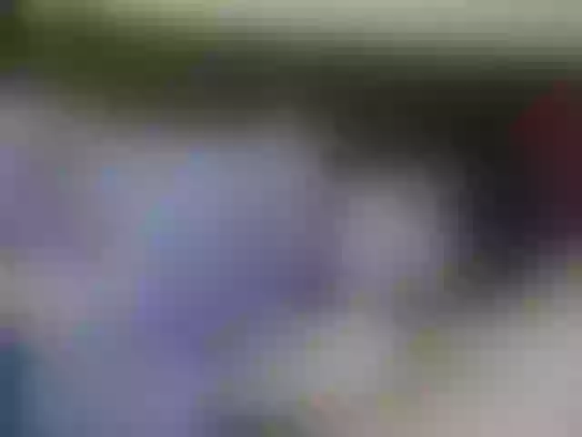 Live sex webcam photo for maksym939 #271812065