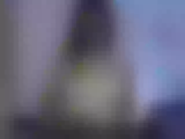Live sex webcam photo for maky-davis #291850578