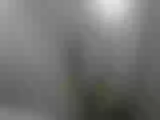 Live sex webcam photo for malaya1234980 #225117042