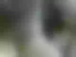 Live sex webcam photo for malaya1234980 #225143638