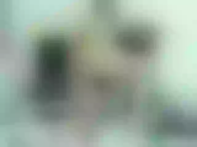 Live sex webcam photo for maleja-restrepoo #290044367