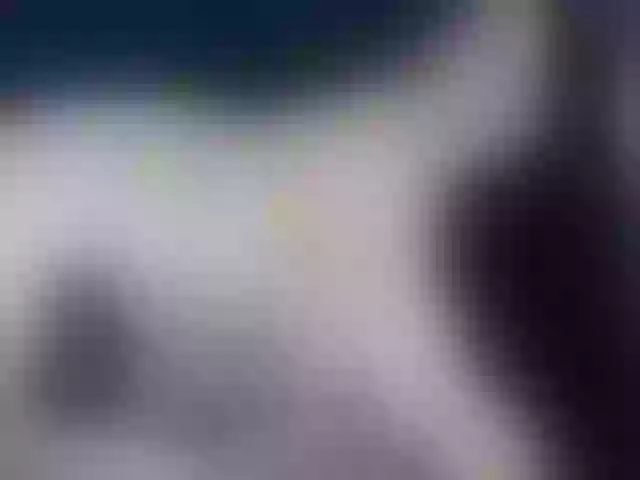 Live sex webcam photo for maleja-restrepoo #291722432