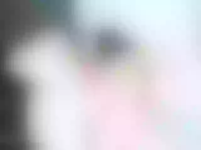 Live sex webcam photo for maleja-restrepoo #291819998