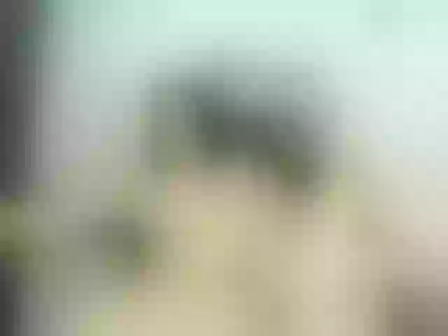 Live sex webcam photo for maleja-restrepoo #292015082