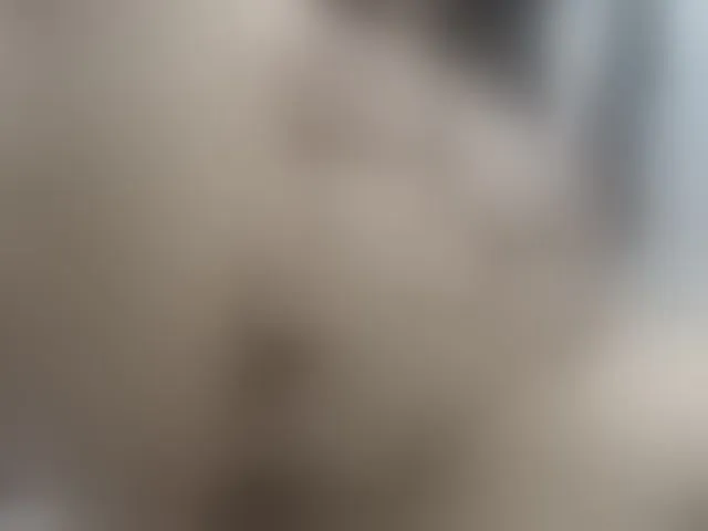 Live sex webcam photo for malenasaenz #294145038