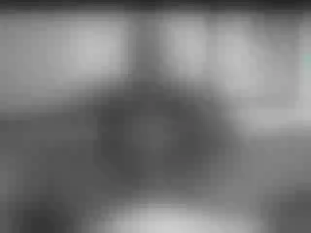 Live sex webcam photo for manbicock #291006510