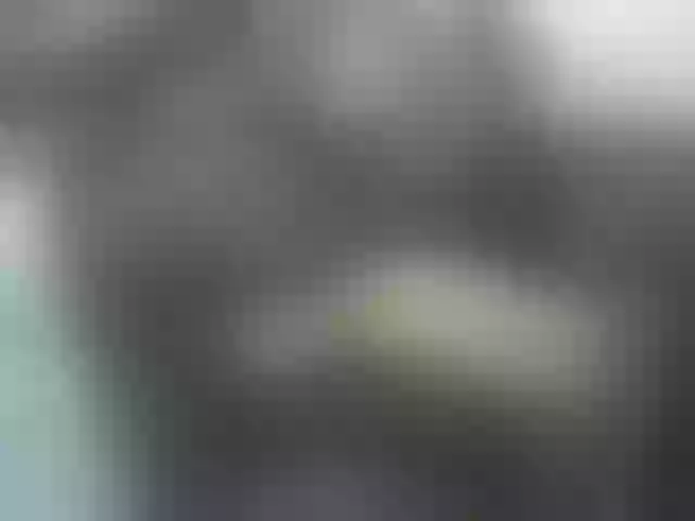 Live sex webcam photo for manbicock #292193861