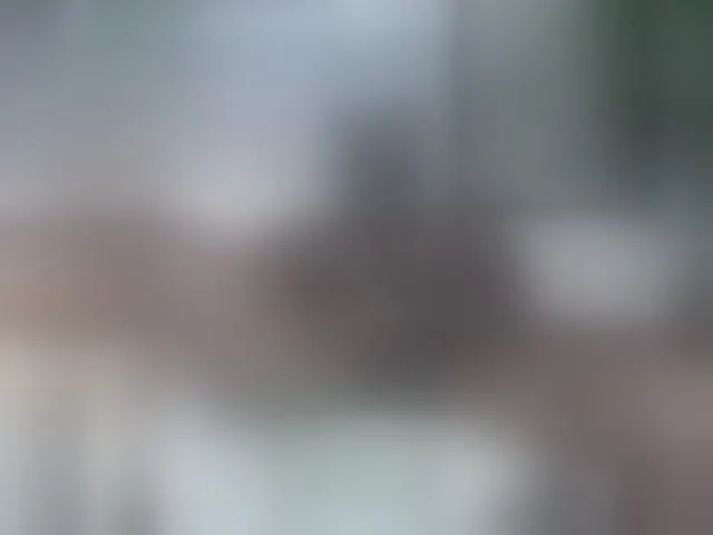 Live sex webcam photo for manbicock #292467245