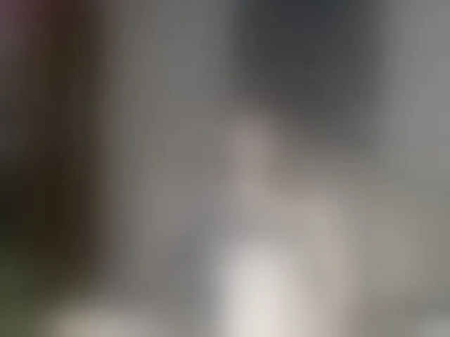 Live sex webcam photo for mandyfoxxx #293291741