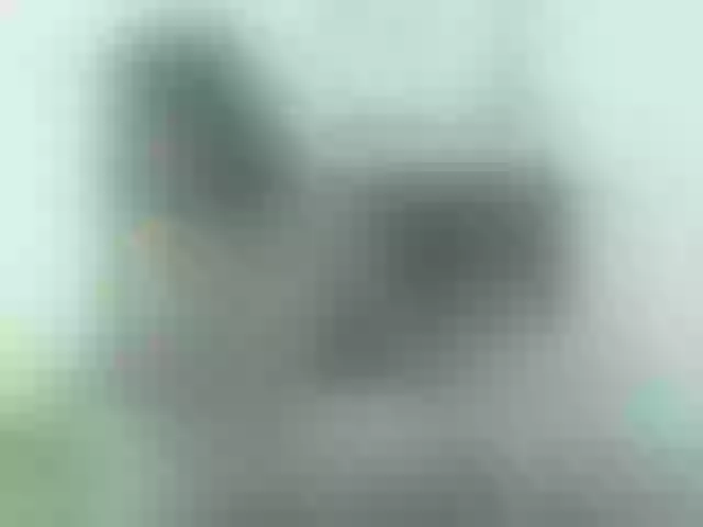 Live sex webcam photo for mapi-hot #274171412