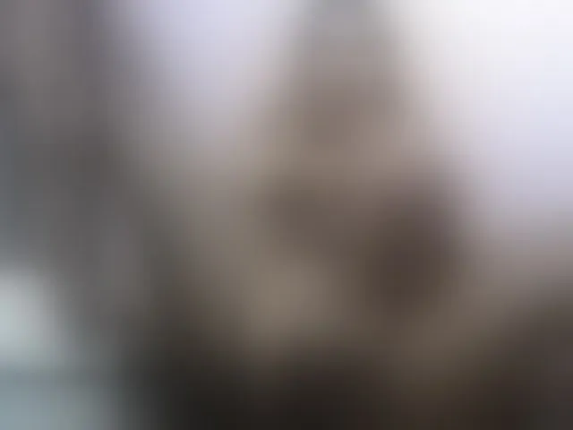 Live sex webcam photo for margotth #276860100