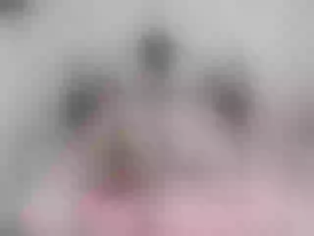 Live sex webcam photo for marianabbw #277211837