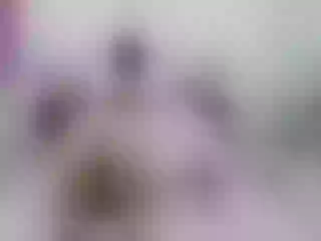 Live sex webcam photo for marianabbw #290044102