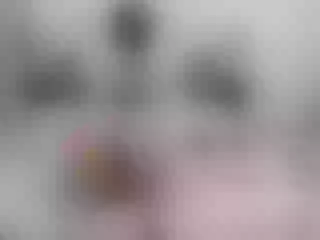 Live sex webcam photo for marianabbw #291619026