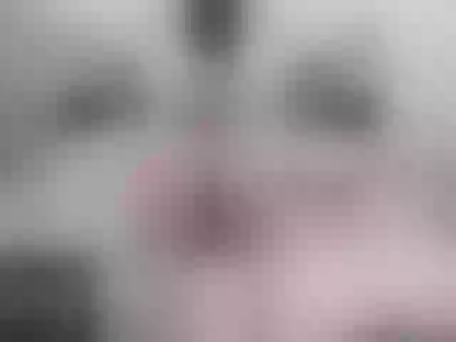 Live sex webcam photo for marianabbw #292198138