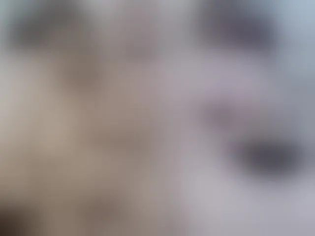 Live sex webcam photo for marianabbw #292666394