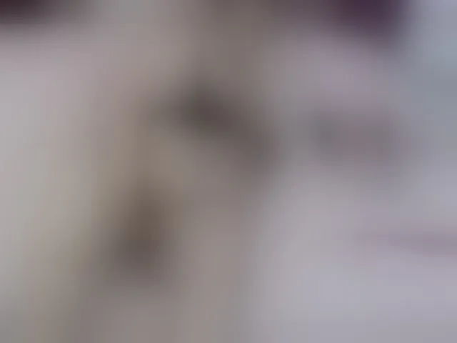 Live sex webcam photo for marianabbw #292832855