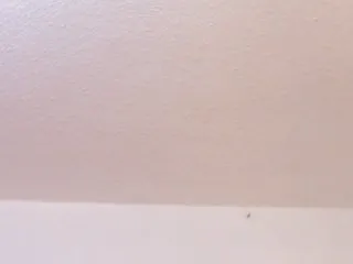 Live sex webcam photo for marianaevans #144475928