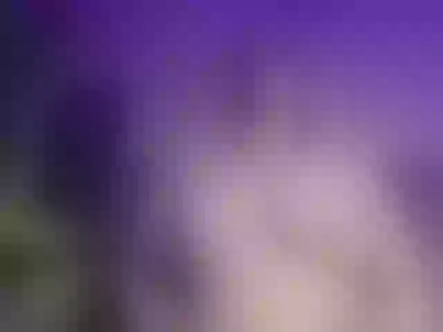 Live sex webcam photo for mariapaulac #290893987