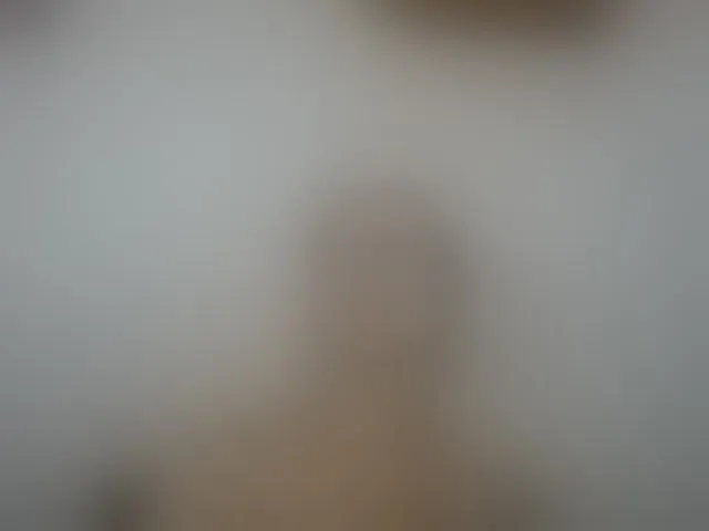 Live sex webcam photo for mariecam420 #292439022