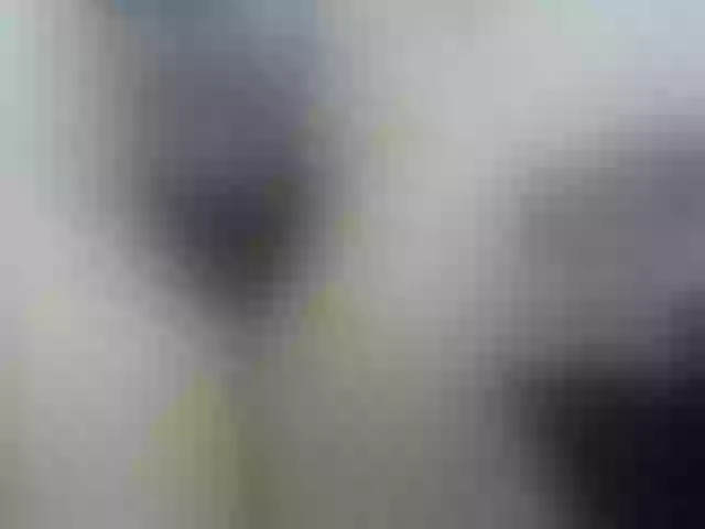 Live sex webcam photo for marilynbeautifullyhairy #276528448