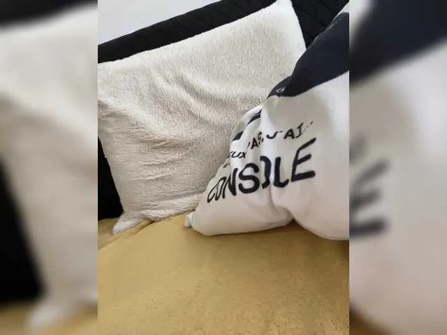 Live sex webcam photo for marry888 #290322703