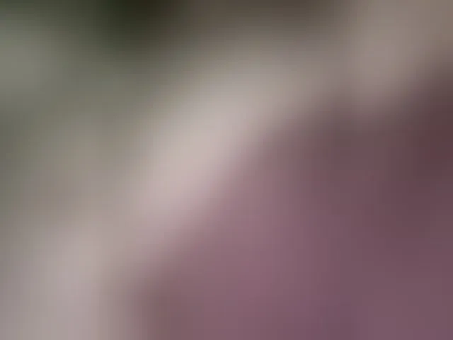 Live sex webcam photo for marsandvenera #291102086