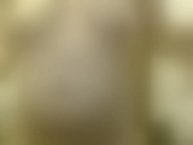 Live sex webcam photo for martachatte19 #293687825