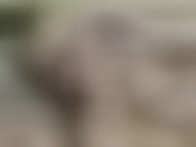 Live sex webcam photo for martachatte19 #293820349