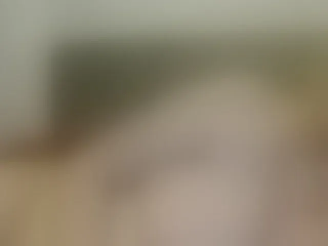Live sex webcam photo for martachatte19 #293927013
