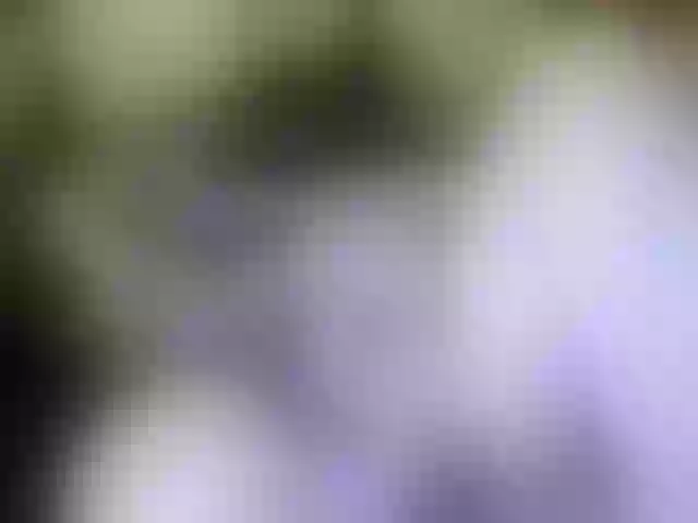 Live sex webcam photo for marusa0 #272541880