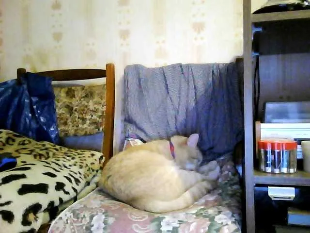Live sex webcam photo for marusa0 #274311009