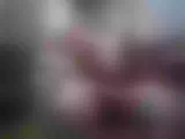 Live sex webcam photo for marusa0 #291942734