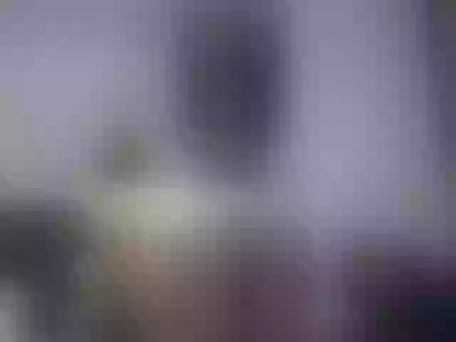Live sex webcam photo for mary-x #291337504