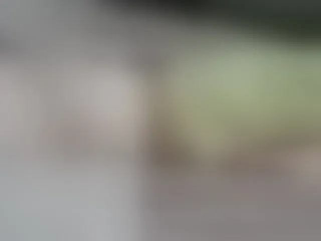 Live sex webcam photo for maturehornykinky #293861424