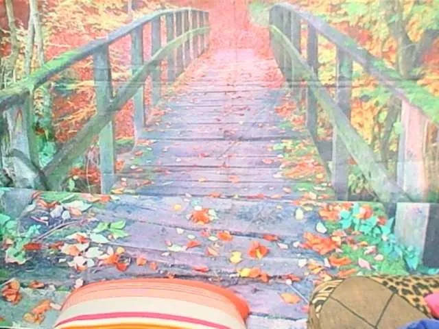 Live sex webcam photo for matureindian #290829552