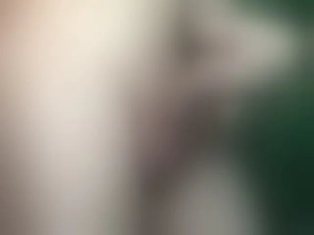 Live sex webcam photo for maxdex1 #293582462