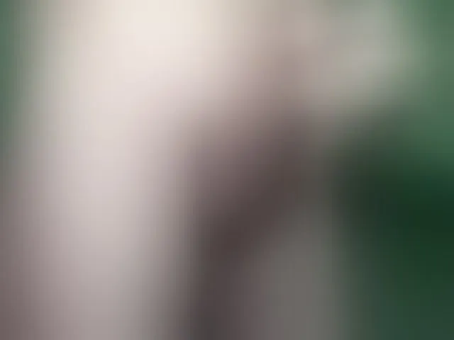 Live sex webcam photo for maxdex1 #293612649