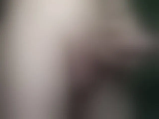 Live sex webcam photo for maxdex1 #293850995