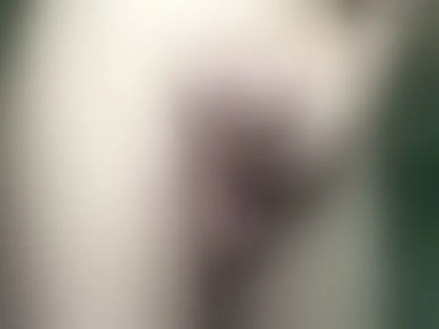 Live sex webcam photo for maxdex1 #294032026