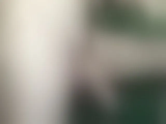 Live sex webcam photo for maxdex1 #294054958