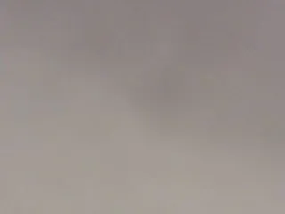 Live sex webcam photo for mayalove4u #231294584