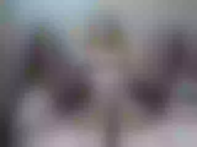 Live sex webcam photo for medovaja #291227249
