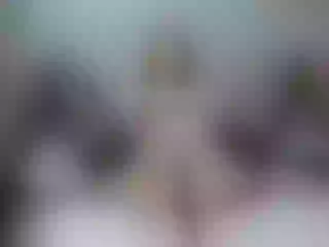 Live sex webcam photo for medovaja #291434752