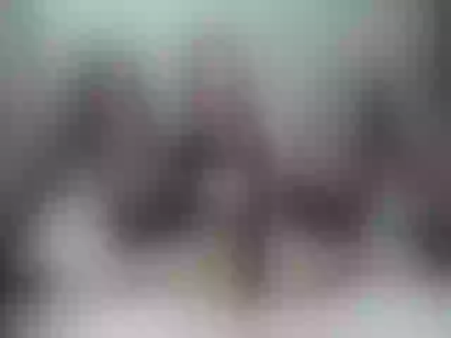 Live sex webcam photo for medovaja #291461627