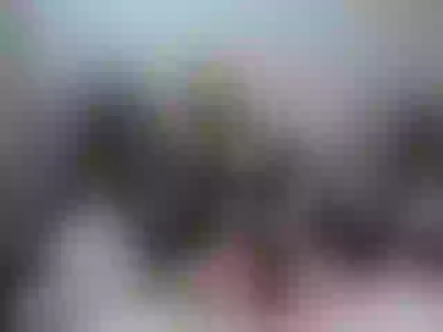 Live sex webcam photo for medovaja #292041813